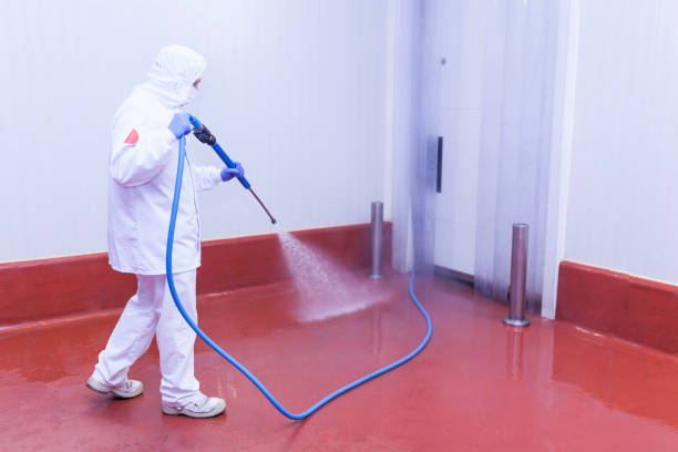 Trusted Mokuleia, HI Pressure Washing Services Experts